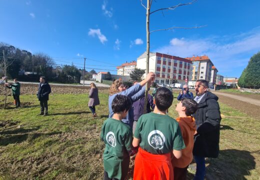 Escolares do CPR Santiago Apóstol plantaron unha vintena de árbores na senda peonil e ciclista entre Frexeiro e Xuvia